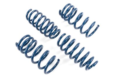 D100-0941 Dinan Performance Spring Set - 2020-2023 Tesla Model Y