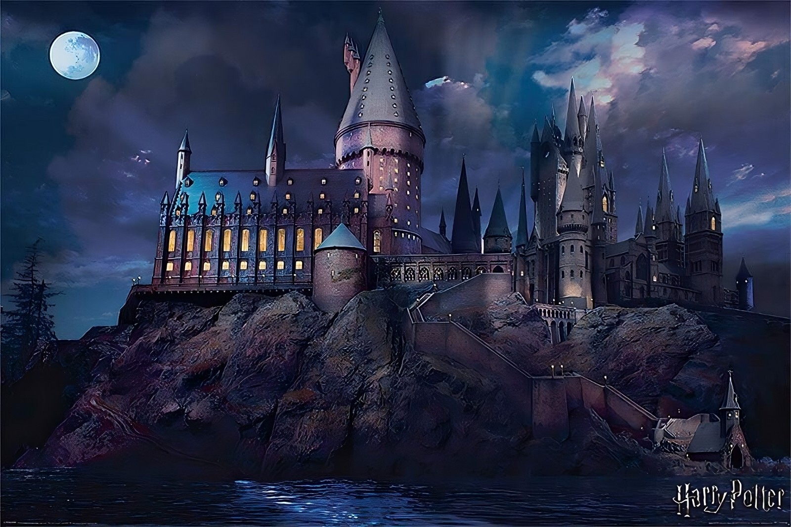 希少❇️人気 ハリー・ポッター HOGWARTS CASTLE ポスター 美品 HARRY POTTER HOGWARTS CASTLE POSTER 24 X 36 INCH | eBay