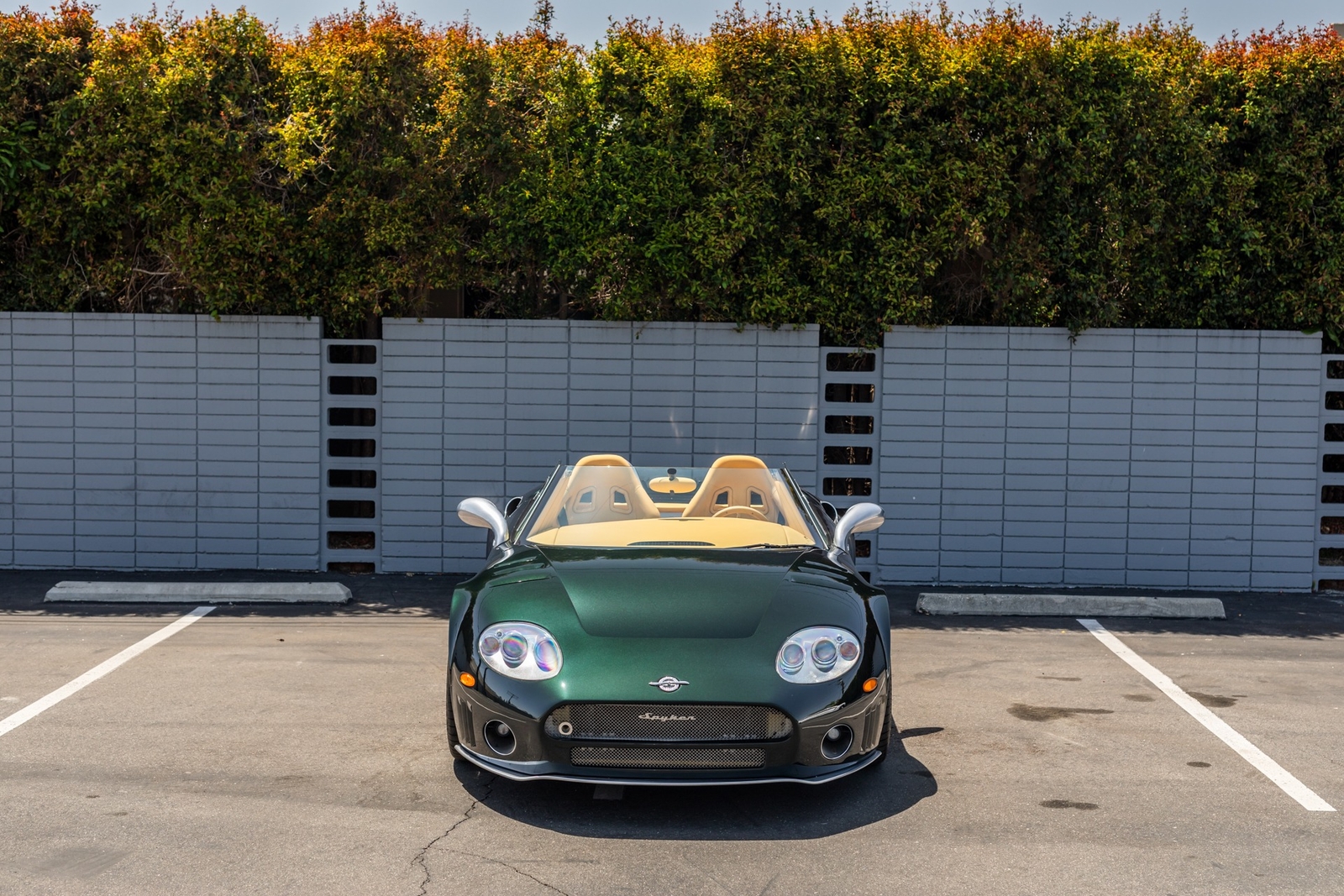 Owner 2006 Spyker C8 Spyder Spyder