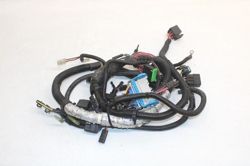 マフ　フォックス $_12.JPG?set_id=880000500F