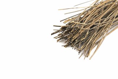 WWS Swamp Reed Kit – Model Railway Wargame Scenery Diorama