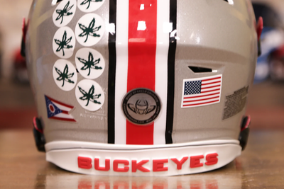 Ohio State Buckeyes Riddell SpeedFlex Helmet GG Edition 00279