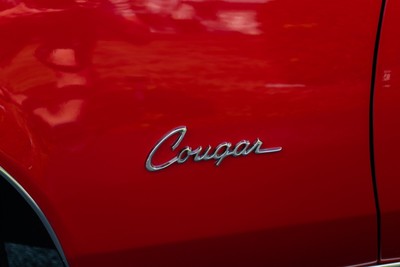 image 21 of exterior