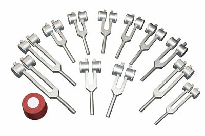 Radical 12 Pcs Mineral Nutrients Human Deficiency Weighted Tuning Forks with ...