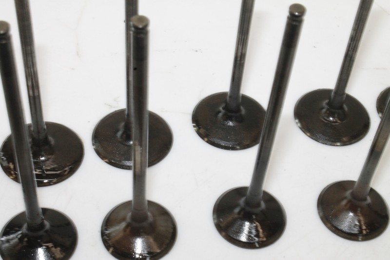 kanadeSample品10 06-07 ZX10R INCOMPLETE VALVE KIT VALVES BUCKETS HEAD SHIMS