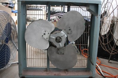 Foto dell'oggetto di un acquirente verificato