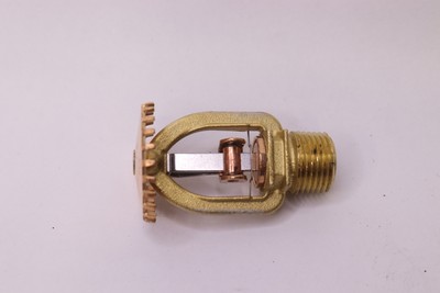 Replacement Sprinkler Head 1/2