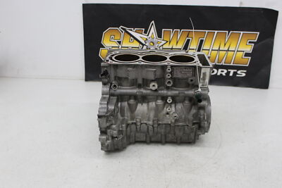 19-21 CAN-AM RYKER 900 RALLY EDITION ENGINE MOTOR CRANKCASE CRANK CASES BLOCK