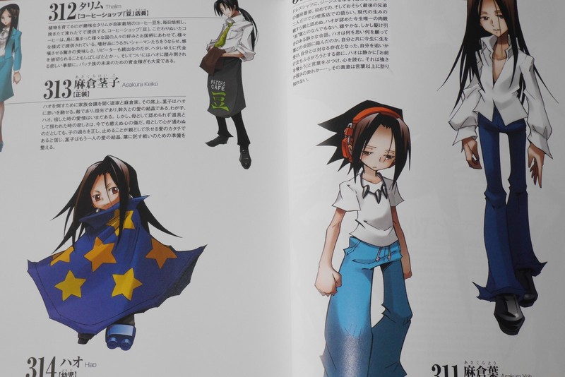 Japan Hiroyuki Takei Manga Shaman King Kanzenban Vol 23 Shaman King Japanese Anime