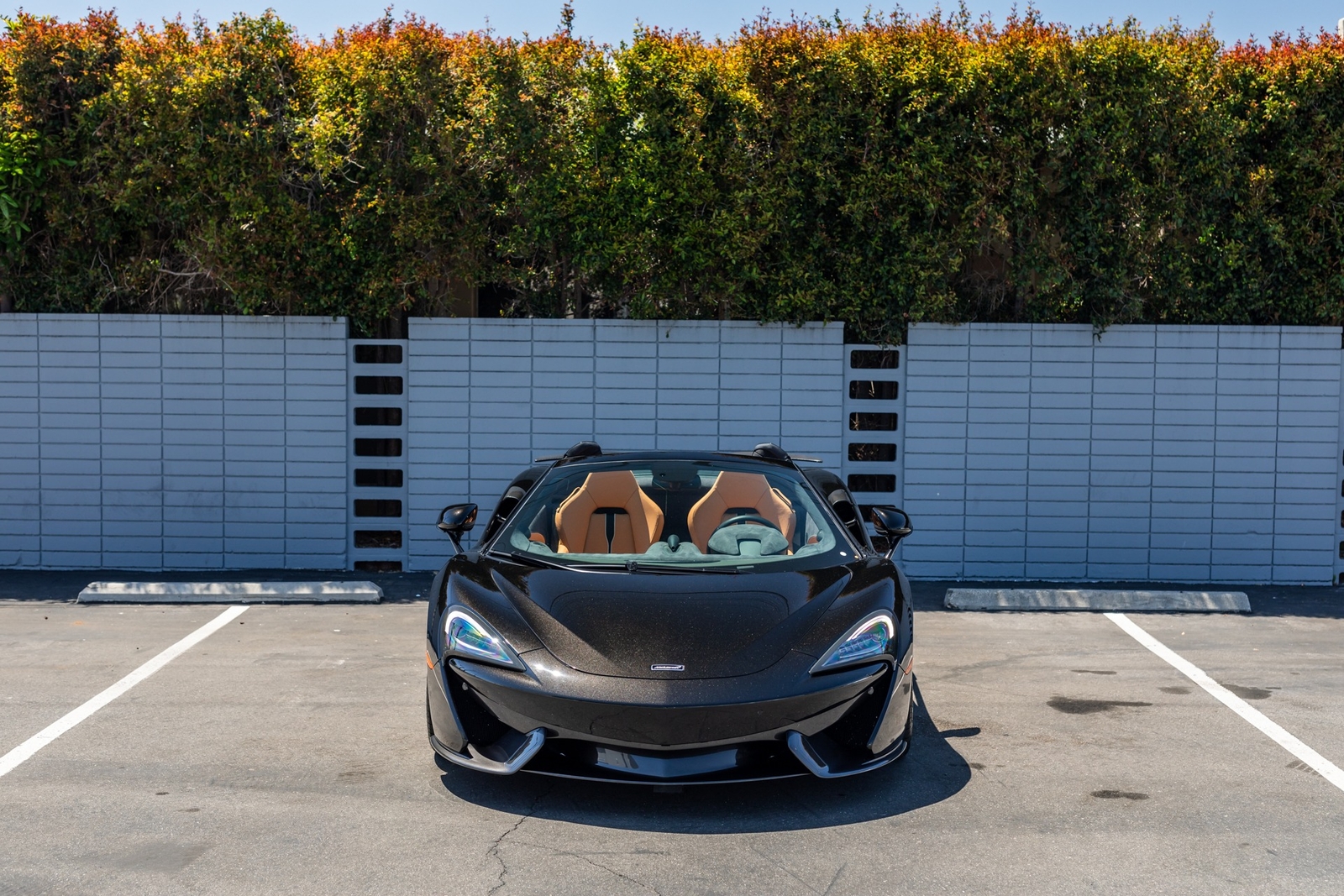 Owner 2019 McLaren 570S Spider