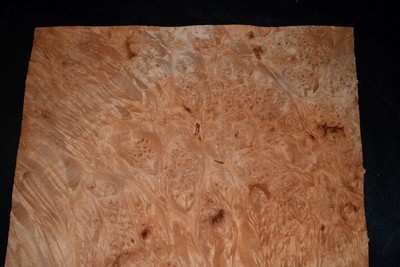 Maple Burl Raw Wood Veneer Sheets 12 x 13 inches 1/42nd thick            6837-31
