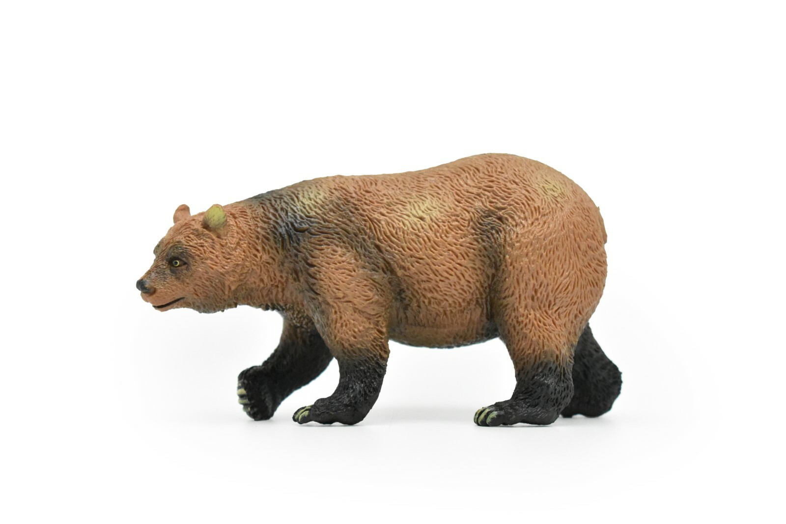 d*3様 world of miniature bears GUILOY　オート Amazon.com: Safari Ltd. Grizzly Bear Cub Figurine - Detailed