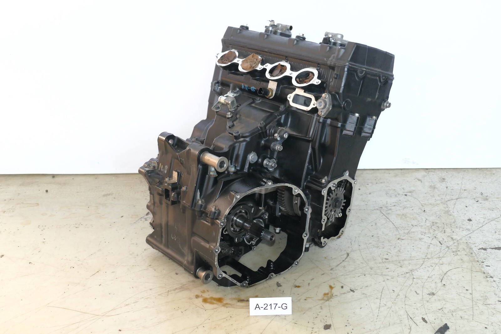 カリマニ $_57.JPG