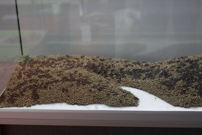 Father Fish aquarium substrate for planted 10 gallon tanks