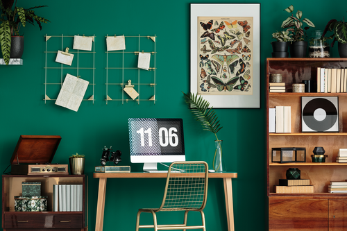 Butterfly Vintage Papillons Insect Art Print Poster 12x18