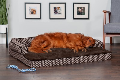 - Plush & Décor Comfy Couch