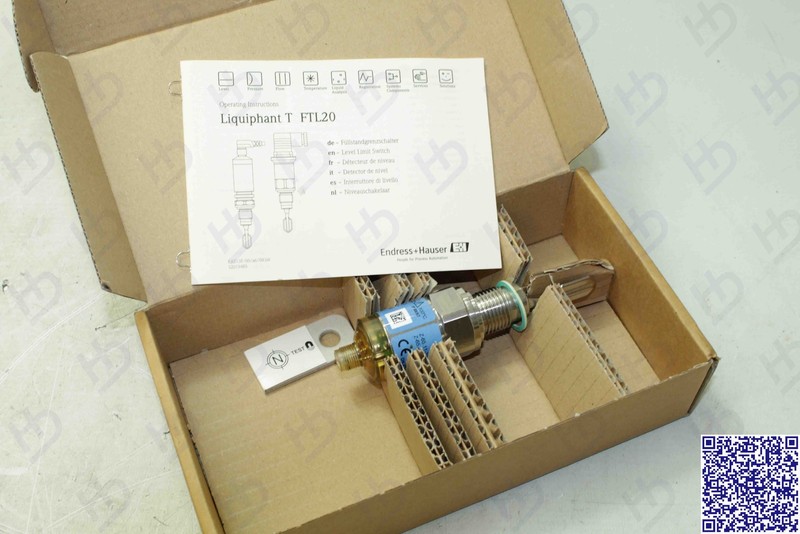 Endress+Hauser Ftl20-0025 Liquiphant Ftl20