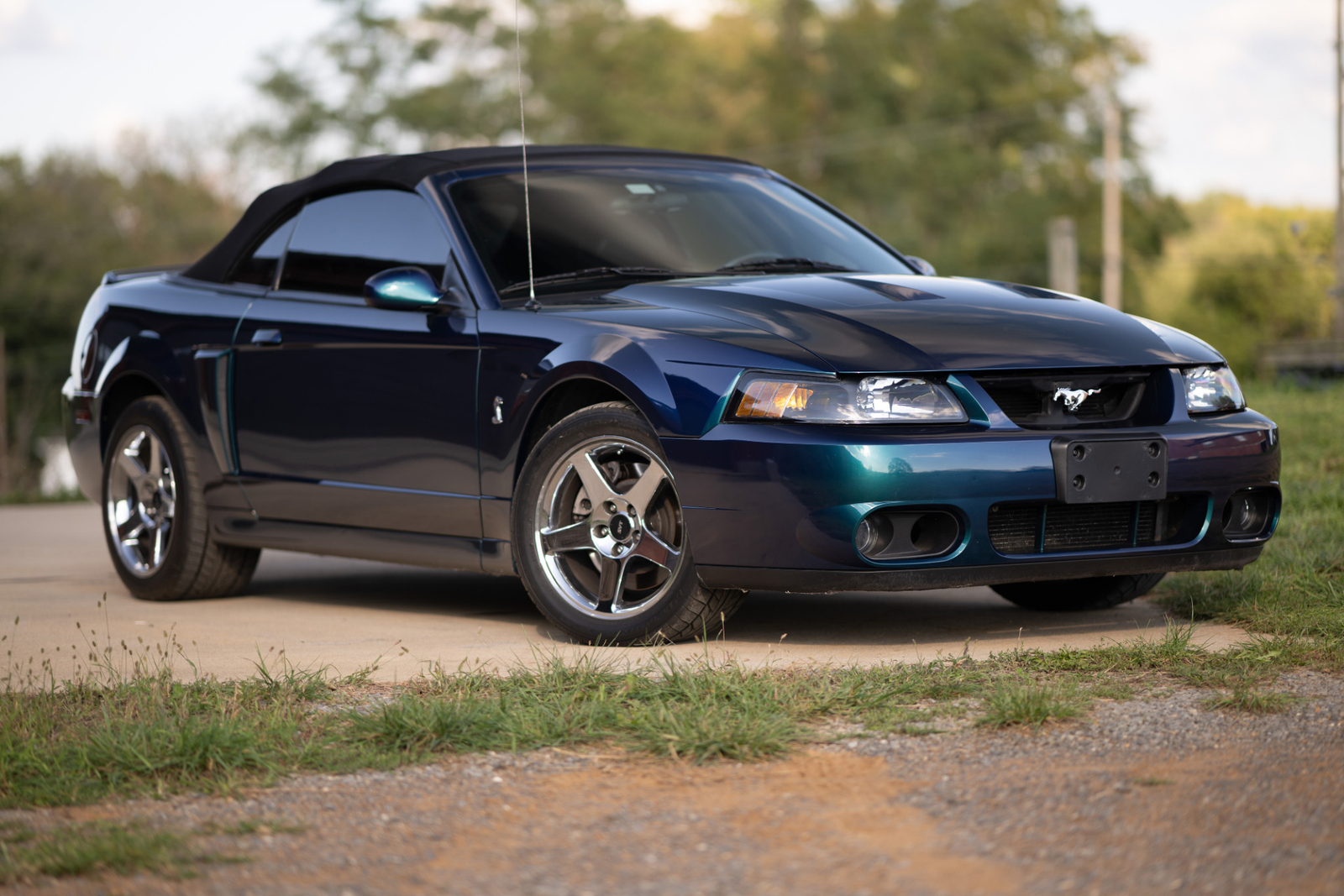 2004 Ford Mustang SVT Cobra SVT for sale!