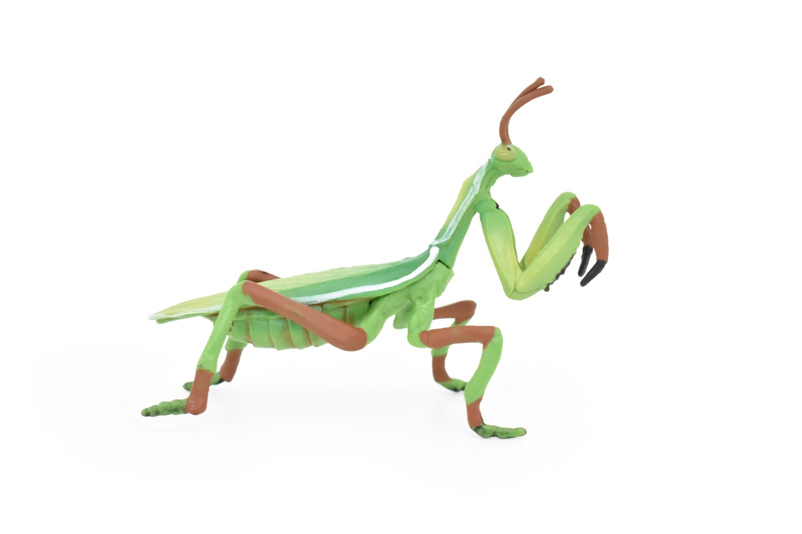 アビソ プレイング・マンティス5’4″ AVISO　PRAYING MANTIS $_57.JPG?set_id=880000500F