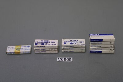 12 Stück Eska G-sicherungseinsätze 250v 20x5mm (C6905-R31) 