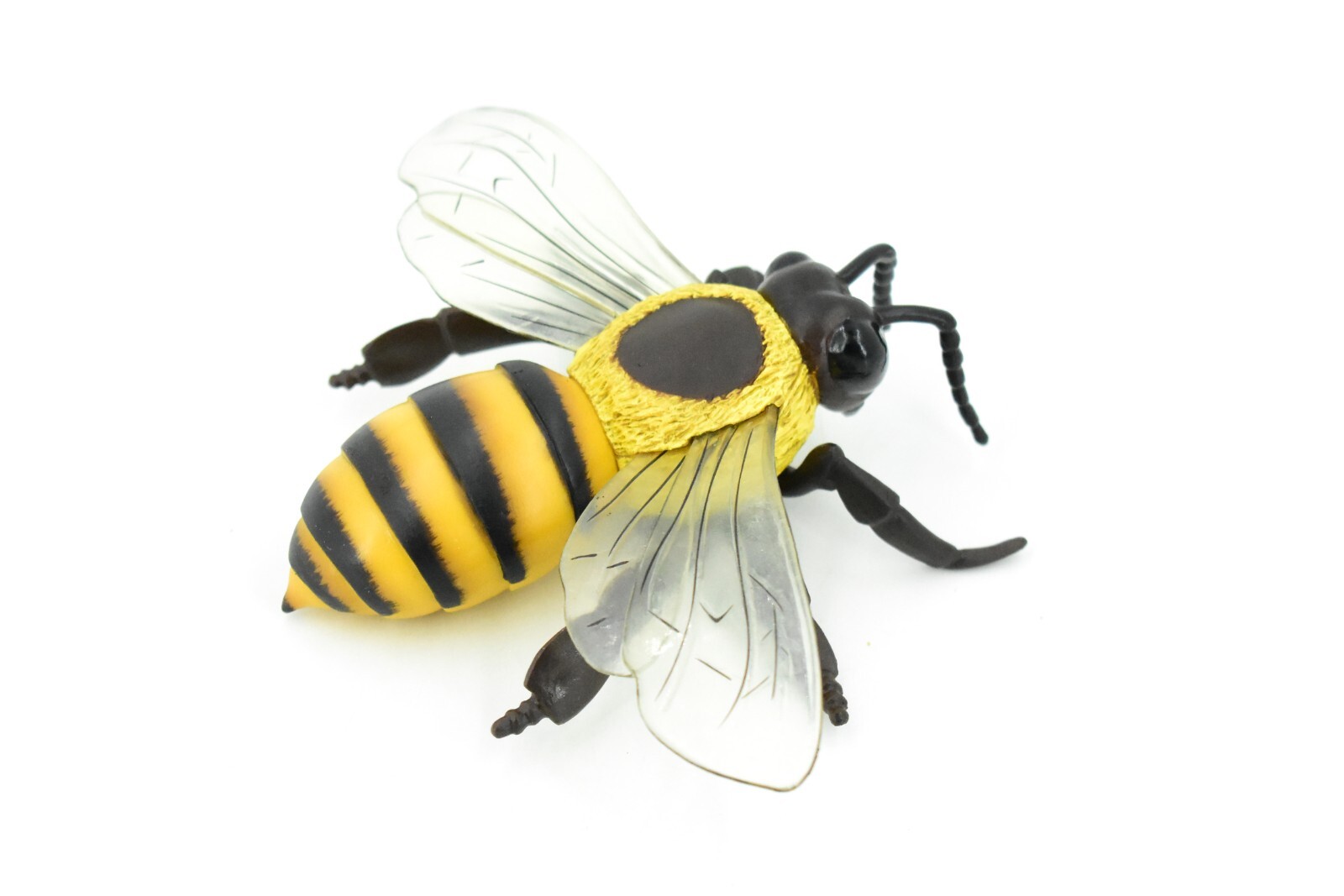 bumble-bee-bee $_57.JPG?set_id=880000500F