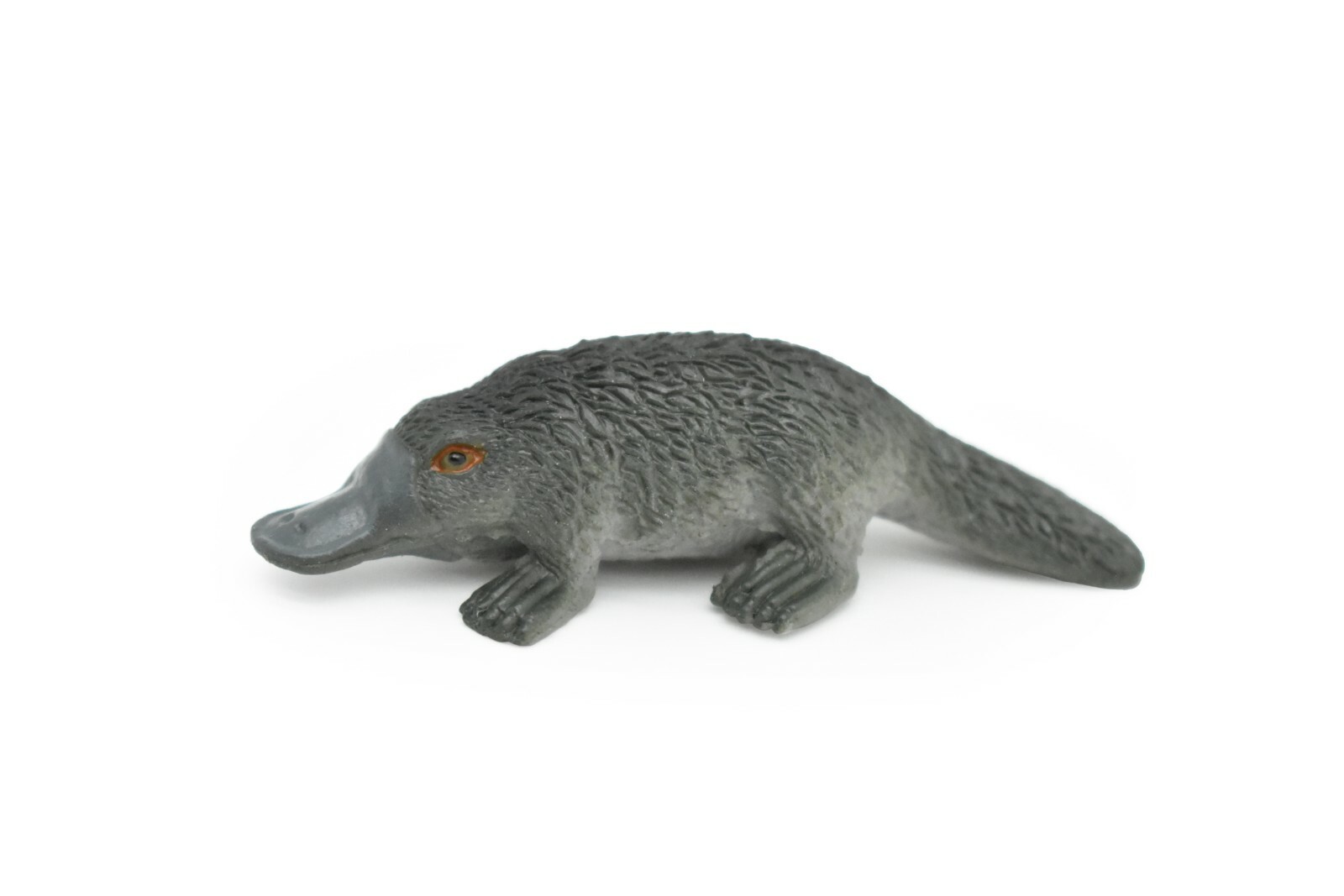 platypus です $_57.JPG?set_id=8800005007
