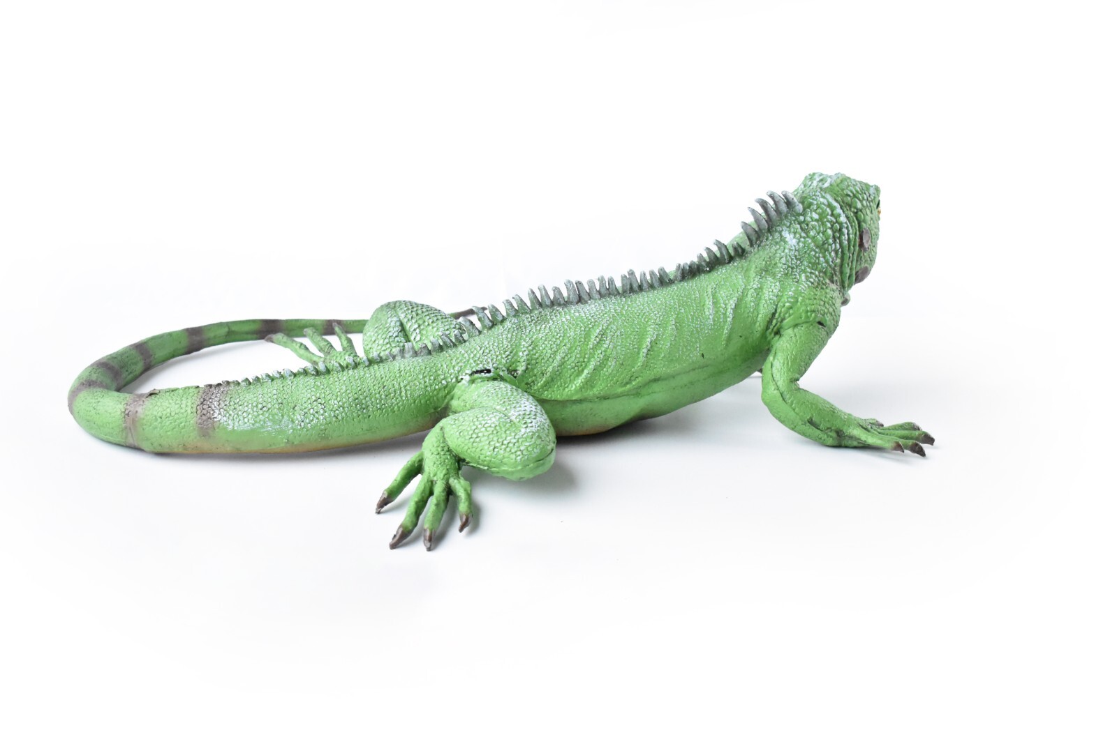Iguana, Lizard, Museum Quality, Foam Rubber Reptile, Toy, Educational, Realistic