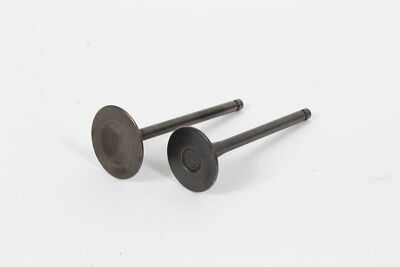 Genuine Robin 22G-33402-03 & 22G-33502-03 Intake & Exhaust Valve Set Fits EX40