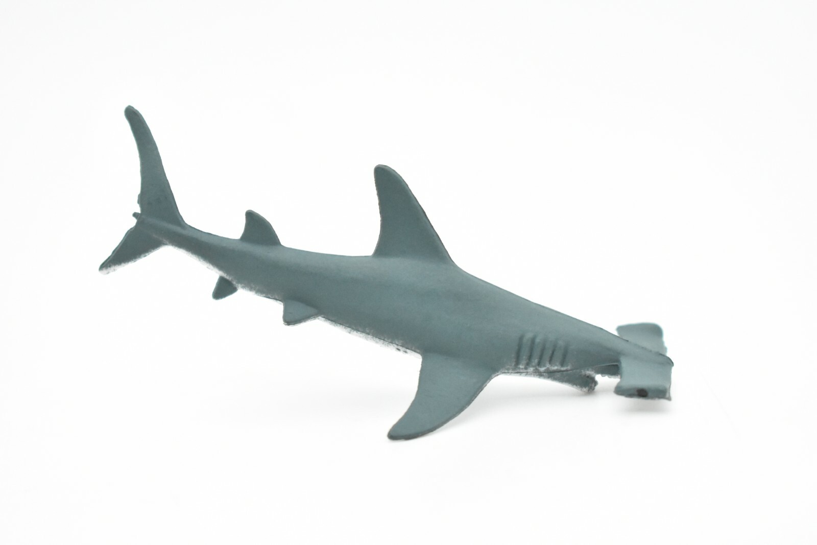 邦楽 vase by the window hammer head shark $_57.JPG?set_id