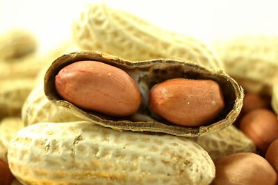 Wakefield Virginia 50LB Peanuts for Squirrels, Birds, Deer, Ducks and Wildlife