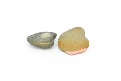 Toy Clams, Littleneck Clam, Shell, Set of Two, Rubber Model   1''   CWG140 BB28