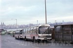 wirral-lynx-0151