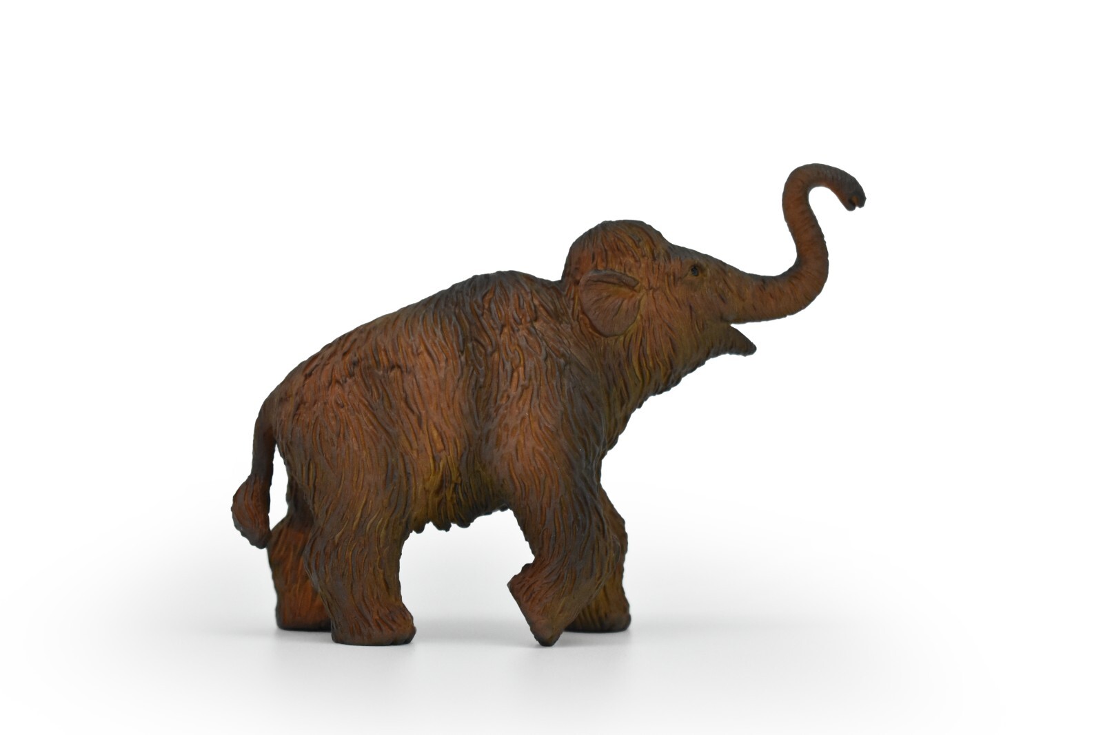 ベース Woolly Mammoth WM_2_2022.jpg?format=1000w