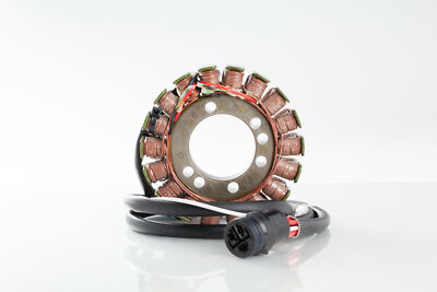 Y♢1222 チャキスリー Rick's Motorsports Stator Kawasaki 1200/ZX1200 Ninja ZX12R