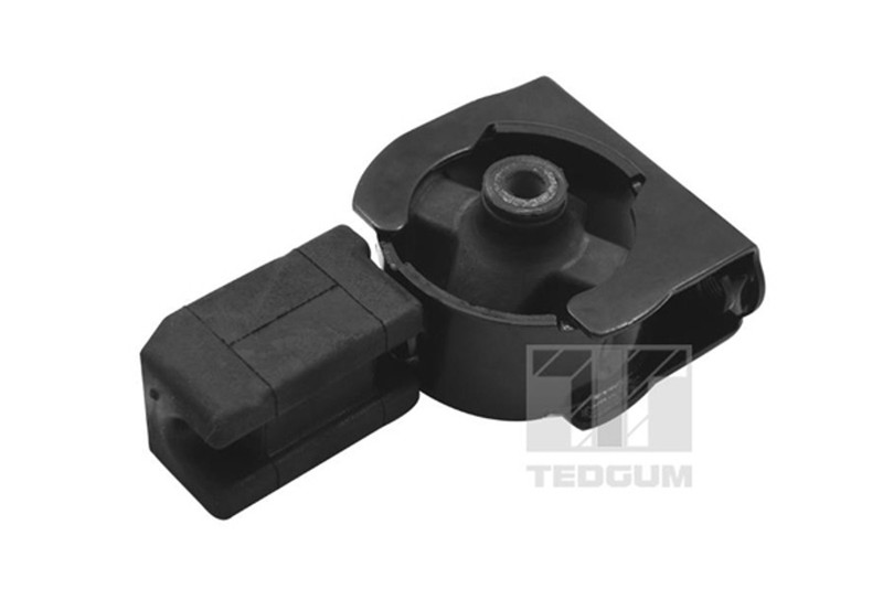 Tedgum Motorlager 00672166 FÃ¼R Toyota Corolla Vvt Zze121_ Zze121r Vvtl Zze123_