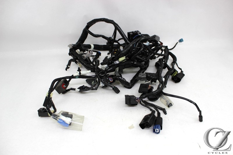 ワイルドハーツ コーエーテクモゲームス 『新品即納』{Switch2} WILD HEARTS S