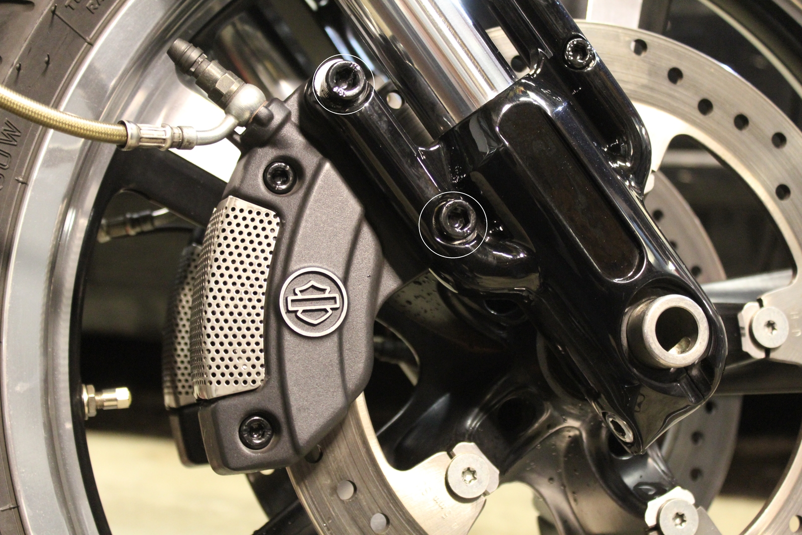 Bremssattel-Schrauben vorne schwarz | Harley V-Rod/Muscle/Night Rod ab 2007