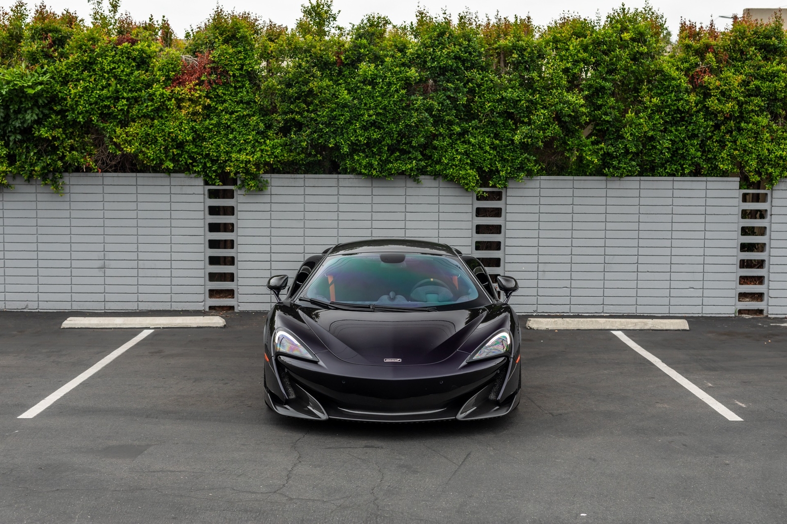 Owner 2019 McLaren 600LT