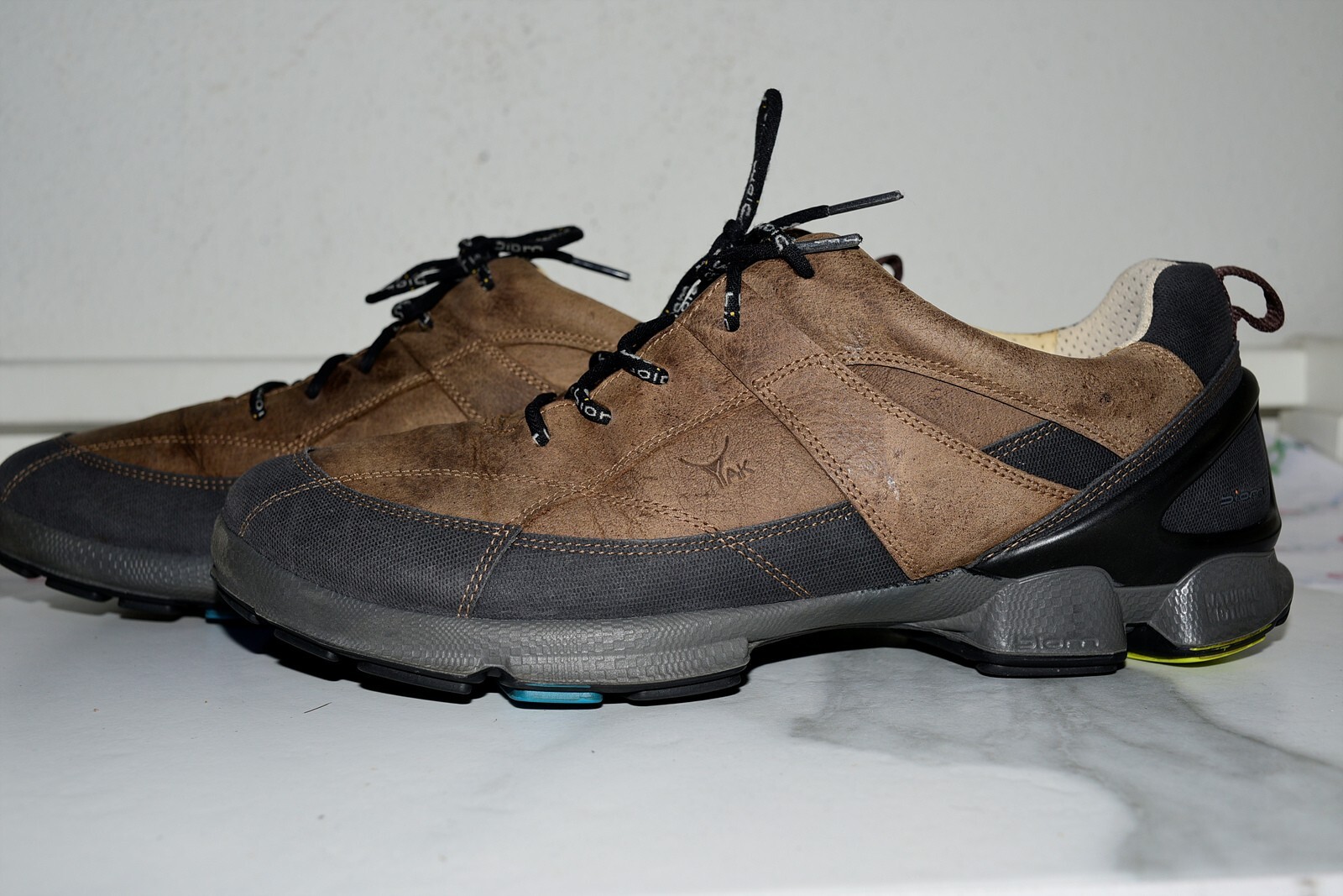 ecco biom 44