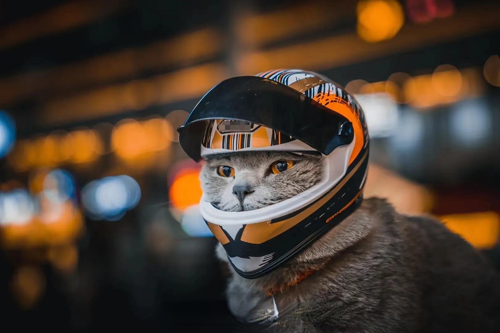 Pet Helmets Cat Helmet Dog Helmet-Outdoor Mini Head Protecting Hat Motorcycle