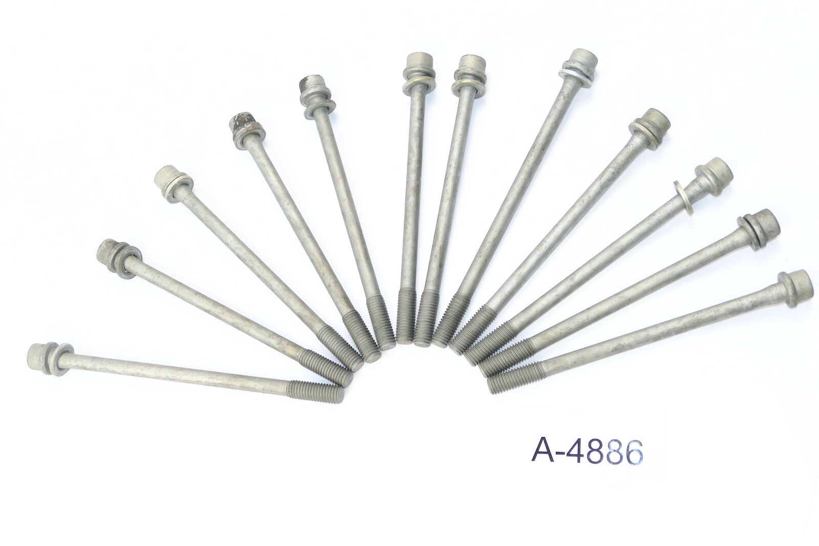 法螺貝 NO57 ホラ貝、和楽器、和太鼓、修験道 Amazon.com: Torx 6