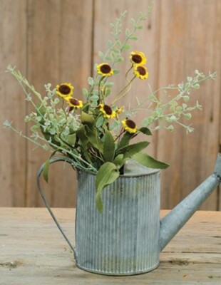 Bird's Eye Daisy Bush, Yellow, 18''