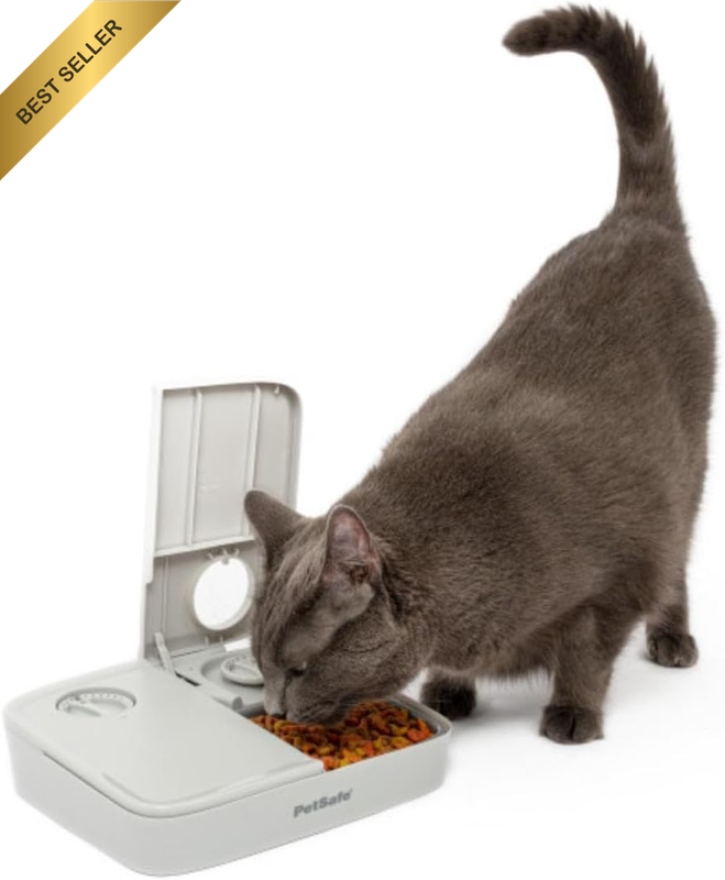 Automatic 2 Meal Pet Feeder