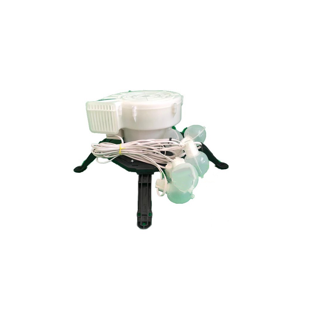 Image1