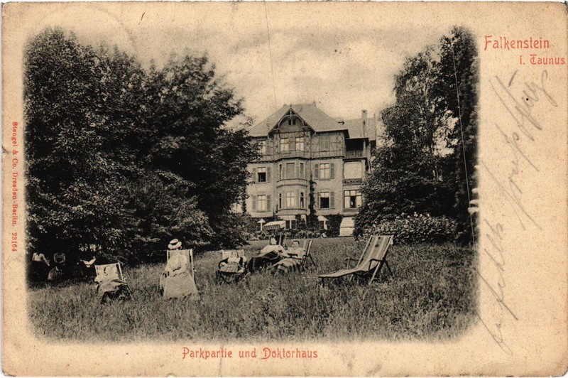 Cpa Ak Falkenstein Parkpartie Und Doktorhaus Germany (1430459)