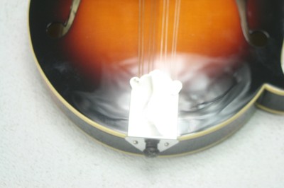 The Loar LM-520-VS Performer Mandolin Solid Hand Carved Rosewood Fretboard