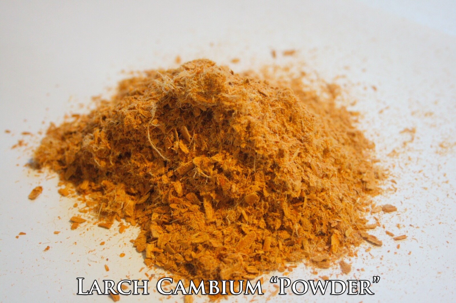 1oz Larch Cambium: Raw Organic Wildcrafted Western Larch Inner Bark