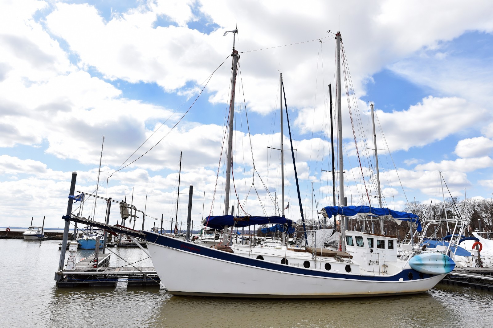 gazelle 42