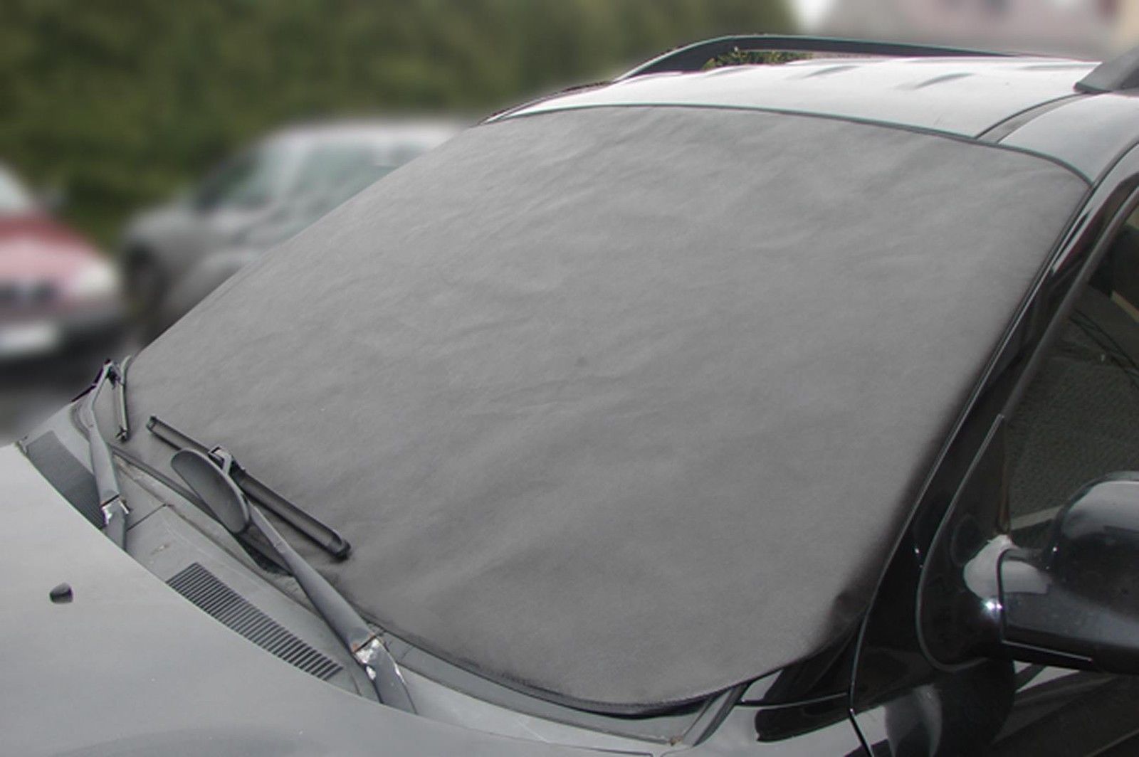 Windscreen. Windscreen