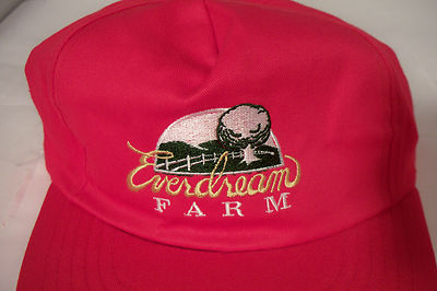 Vintage Everdream Ever Dream Farm Red Snapback Hat NWT